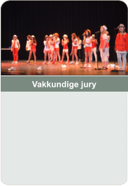 Vakkundige jury